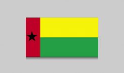 Guineabi Flag