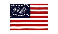 United States Historical General Freemont Flag