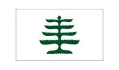 United States Historical Flag Pine Tree