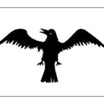 United States Historical Raven Flag