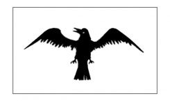 United States Historical Raven Flag