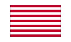 United States Historical Sons of Liberty Flag