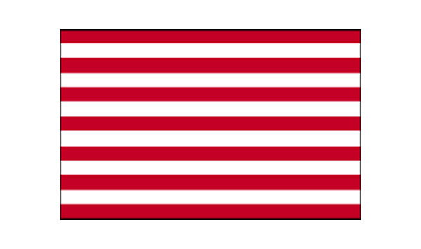 United States Historical Sons of Liberty Flag