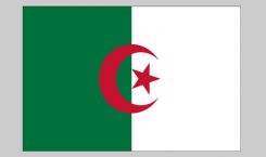Flag of Algeria (Nylon)