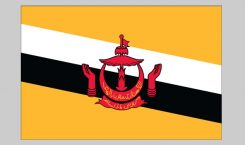Flag of Brunei (Nylon)