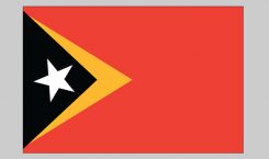 Flag of East Timor (Nylon)