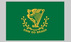 Flag of Erin Go Bragh (Nylon)
