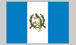Flag of Guatemala (Nylon)