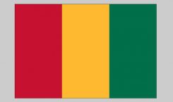 Flag of Guinea-Bissau (Nylon)