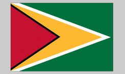 Flag of Guyana (Nylon)