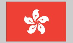 Flag of Hong Kong (Nylon)