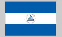 Flag of Nicaragua (seal) (Nylon)