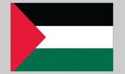 Flag of Palestine (Nylon)