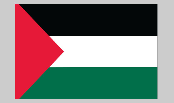 3'x5' Palestine Flag Internationl Flag Country Flag 