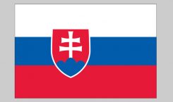 Flag of Slovakia (Nylon)