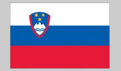 Flag of Slovenia (Nylon)