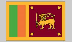 Flag of Sri Lanka (Nylon)