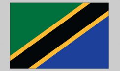Flag of Tanzania (Nylon)