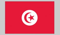 Flag of Tunisia (Nylon)
