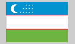 Flag of Uzbekistan (Nylon)