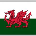 Flag of Wales (Nylon)