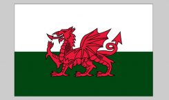 Flag of Wales (Nylon)