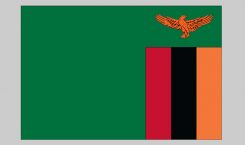 Flag of Zambia (Nylon)