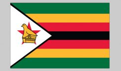 Flag of Zimbabwe (Nylon)